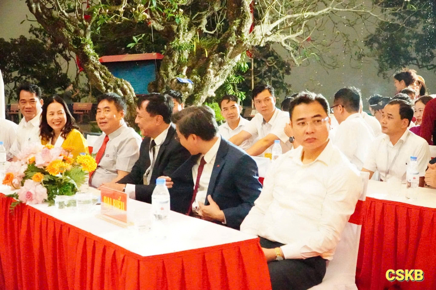 z7736085533864 9d185c2cc9f8414468efab949abe90cc